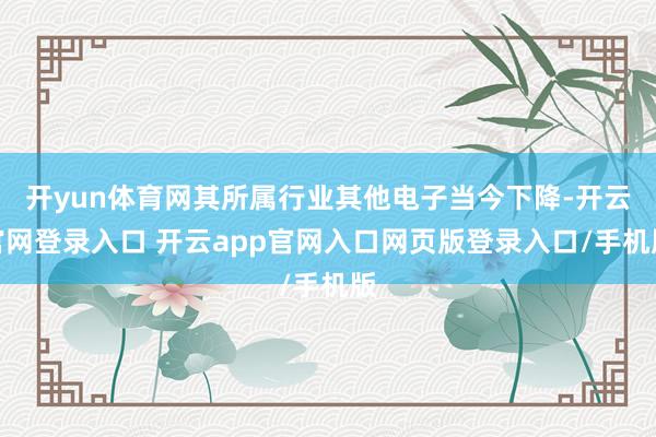 开yun体育网其所属行业其他电子当今下降-开云官网登录入口 开云app官网入口网页版登录入口/手机版