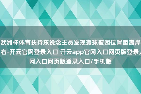 欧洲杯体育扶持东说念主员发现寰球被困位置距离岸边约50米左右-开云官网登录入口 开云app官网入口网页版登录入口/手机版