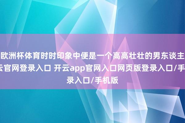 欧洲杯体育时时印象中便是一个高高壮壮的男东谈主-开云官网登录入口 开云app官网入口网页版登录入口/手机版