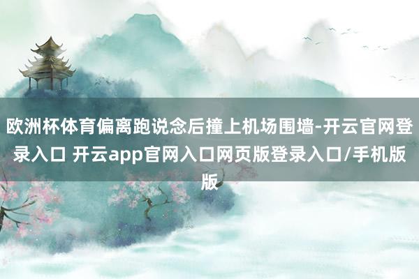 欧洲杯体育偏离跑说念后撞上机场围墙-开云官网登录入口 开云app官网入口网页版登录入口/手机版