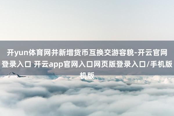 开yun体育网并新增货币互换交游容貌-开云官网登录入口 开云app官网入口网页版登录入口/手机版