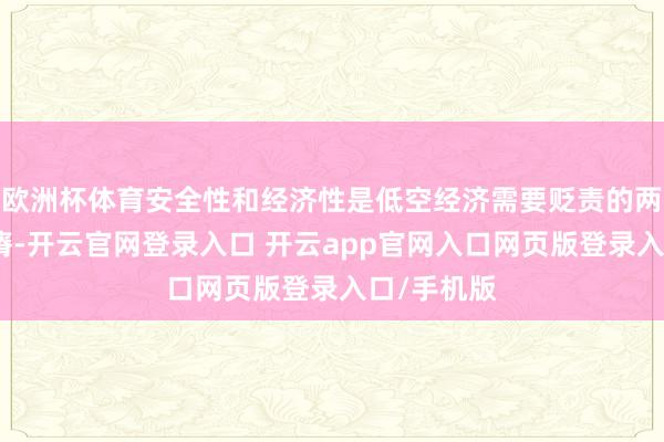 欧洲杯体育安全性和经济性是低空经济需要贬责的两大中枢贫瘠-开云官网登录入口 开云app官网入口网页版登录入口/手机版