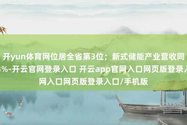 开yun体育网位居全省第3位；新式储能产业营收同比增长64.3%-开云官网登录入口 开云app官网入口网页版登录入口/手机版
