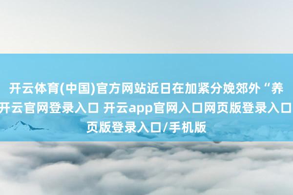 开云体育(中国)官方网站近日在加紧分娩郊外“养分餐”-开云官网登录入口 开云app官网入口网页版登录入口/手机版